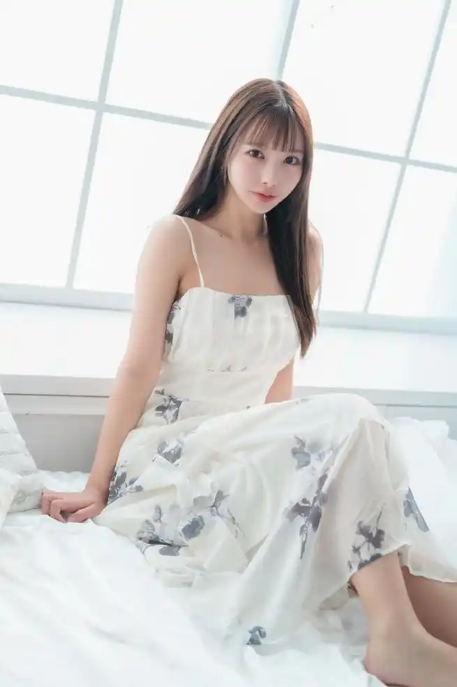 漫长的季节封面